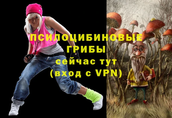 хмурый Мегион