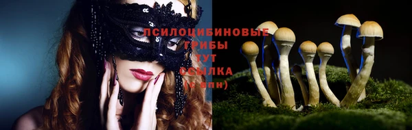 хмурый Мегион