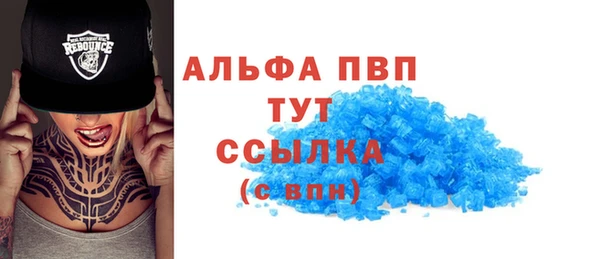 тгк Магас