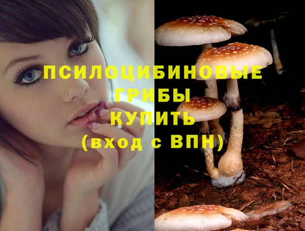 а пвп мука Медвежьегорск