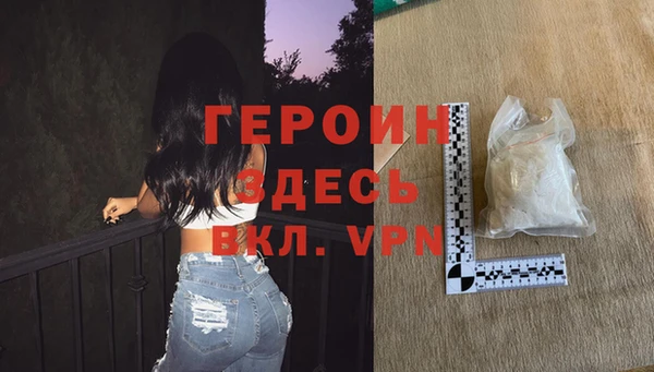 хмурый Пересвет