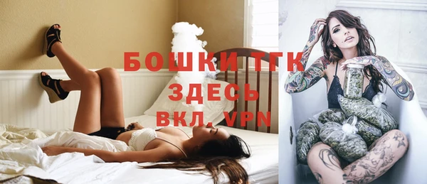 хмурый Мегион