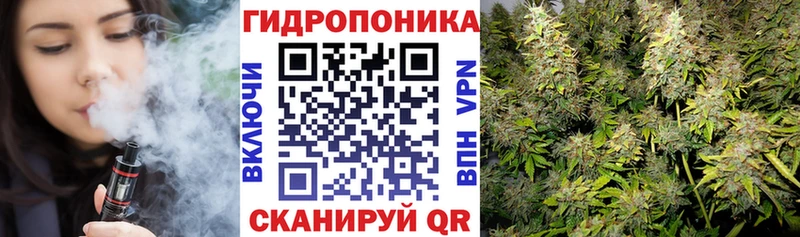 hydra ссылки  Куртамыш  Бошки Шишки сатива 